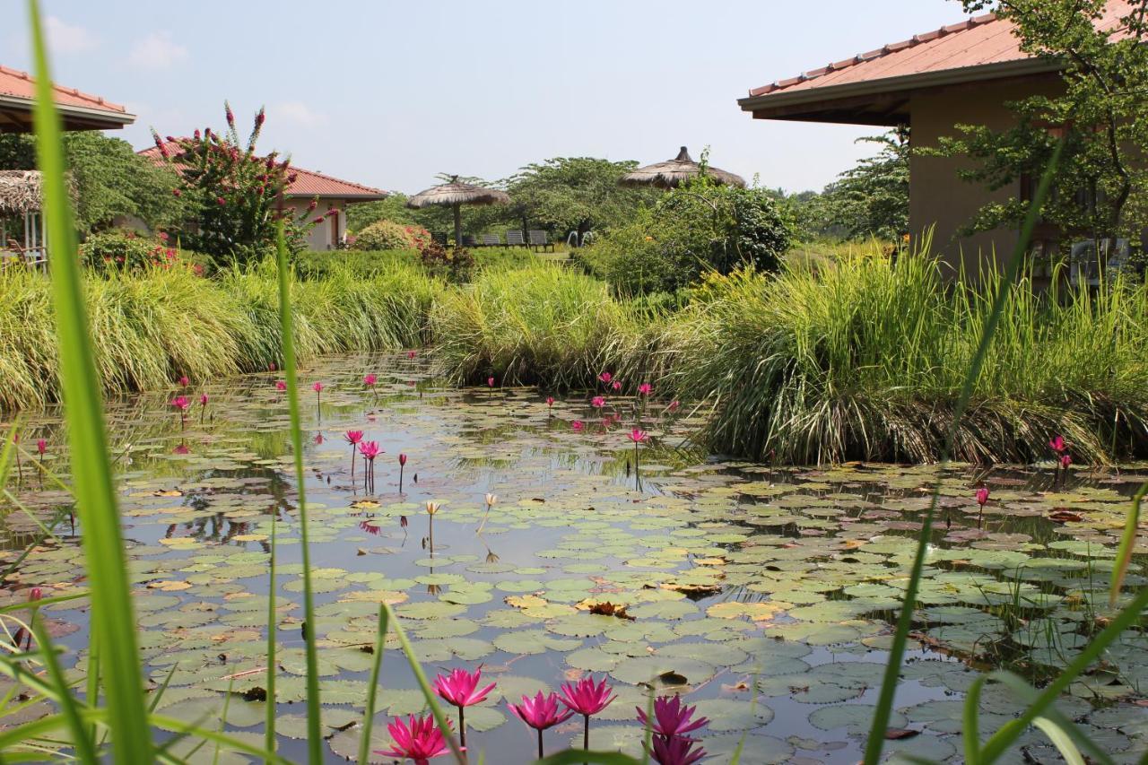 Hibiscus Garden Hotel ティッサマハーラーマ エクステリア 写真
