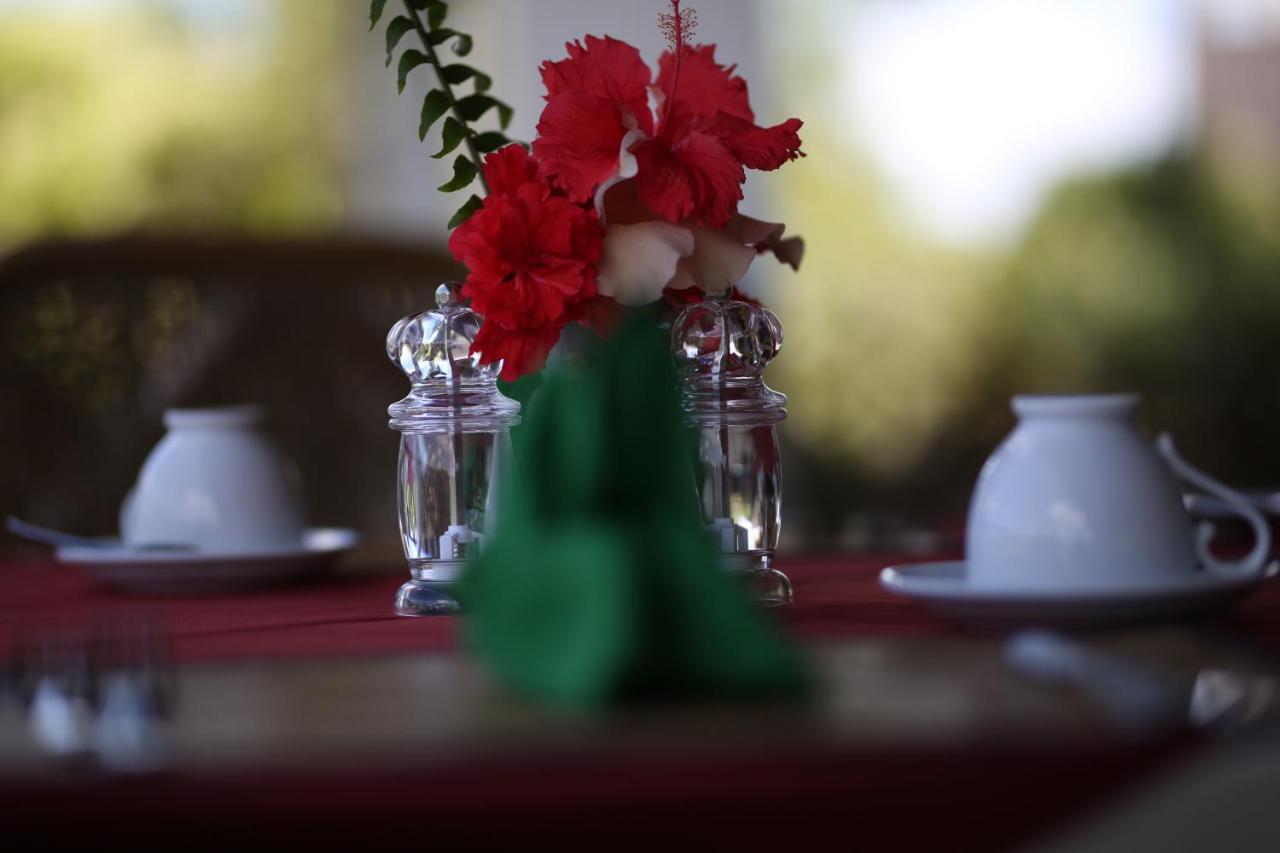 Hibiscus Garden Hotel ティッサマハーラーマ エクステリア 写真